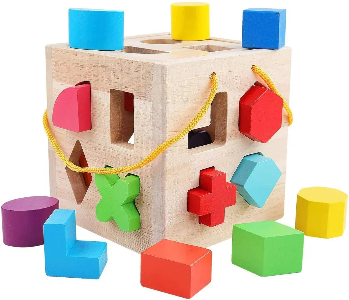 Montessori Wooden Shape and Color Activity Cube | Colorful Building Blocks for Early Childhood Development and Motor Skills