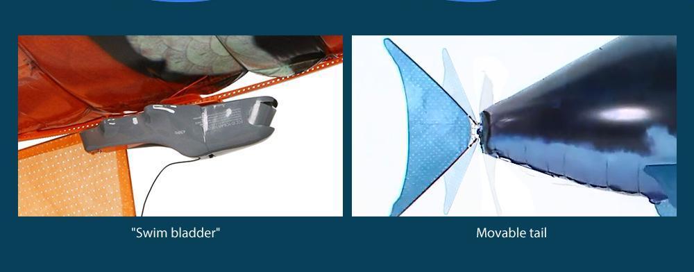 Remote Control Shark