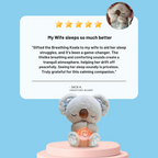 Soothing Relief Koala | Plush Stress Relief Toy for Kids & Adults, Ideal for Relaxation and Comfort
