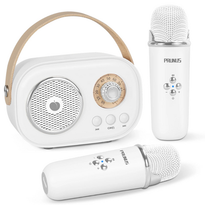 Portable Karaoke System for Kids | Dual Microphones, Bluetooth & Fun Voice Effects for Family Gatherings and Parties