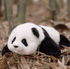 Lifelike Weighted Plush Panda | 4lb Stress-Relief Companion for Adults, Children & Elders
