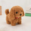 Image of Buddy Robot Puppy | Toy Dog with Voice Commands & Smart Features