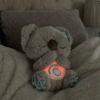 Soothing Relief Koala | Plush Stress Relief Toy for Kids & Adults, Ideal for Relaxation and Comfort