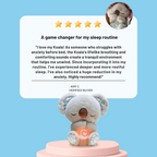 Soothing Relief Koala | Plush Stress Relief Toy for Kids & Adults, Ideal for Relaxation and Comfort