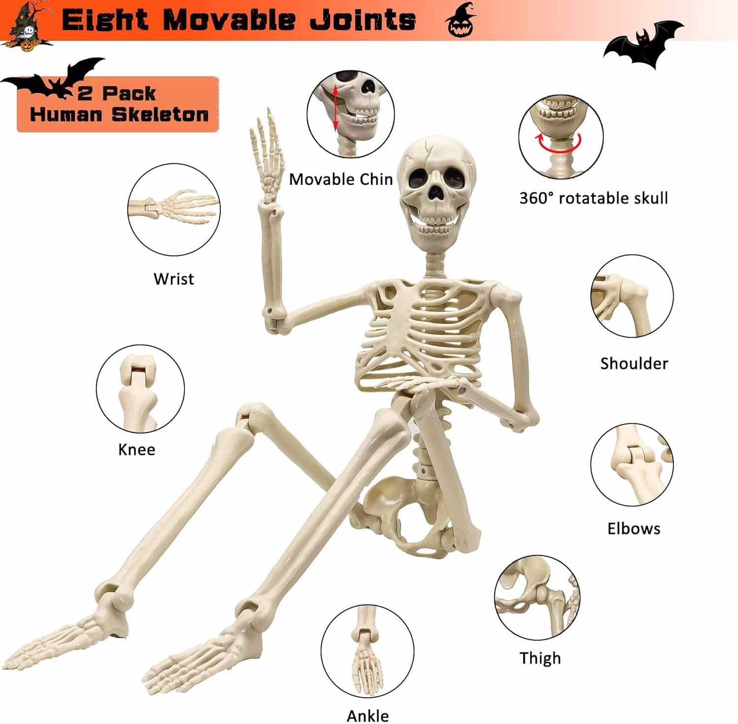 36" Halloween Skeleton Decorations | 2 Pack, Movable Joints for Spooky Parties, Haunted Houses & Graveyard Scenes
