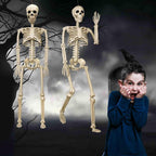 36" Halloween Skeleton Decorations | 2 Pack, Movable Joints for Spooky Parties, Haunted Houses & Graveyard Scenes