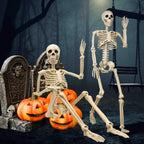 36" Halloween Skeleton Decorations | 2 Pack, Movable Joints for Spooky Parties, Haunted Houses & Graveyard Scenes