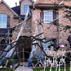 Giant Halloween Spider Web with Fake Spider | 200" Triangular Web & 59" Scary Spider for Indoor Outdoor Decorations