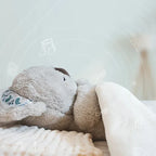 Soothing Relief Koala | Plush Stress Relief Toy for Kids & Adults, Ideal for Relaxation and Comfort