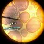 Miniature Digital Microscope | High Magnification, Portable & Ideal for Science Projects and Hobbyists