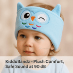 Wireless Headband Headphones Noise Cancelling Ear Buds Headphones