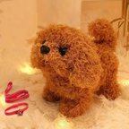 Walking Dog On a Lead Leash Toy for Kids