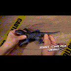 Remote Control Dinosaur Radio Controlled RC Dino Toy Velociraptor T Rex with Remote