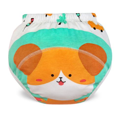 Washable Potty Training Pants | Soft, Absorbent & Eco-Friendly for Toddlers Learning Independence