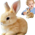 Interactive Plush Bunny Toy | Soft, Hypoallergenic & Engaging Companion for Kids' Development and Playtime