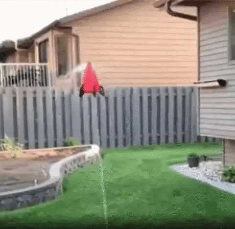 Kids Water Rocket Toy | Educational, Easy to Use & Perfect for Outdoor Fun and Learning