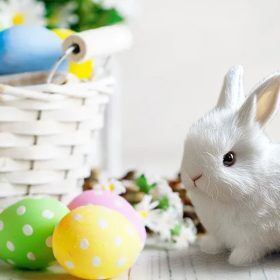 Interactive Plush Bunny Toy | Soft, Hypoallergenic & Engaging Companion for Kids' Development and Playtime