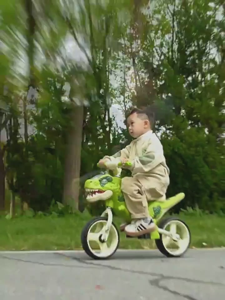 Balance Dino Bike | Adjustable Handlebars & Puncture-Proof Tyres for Toddlers Aged 2-5 Years