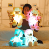 Image of LED Teddy Bear