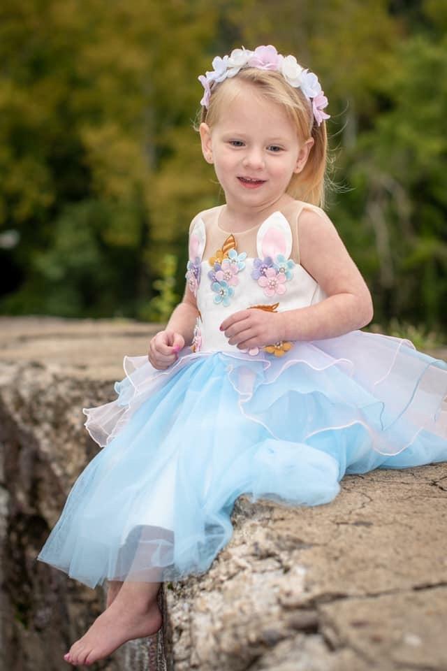 LIMITED EDITION Unicorn Princess Dress