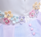 LIMITED EDITION Unicorn Princess Dress
