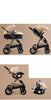 Image of 3 in 1 Prams Travel Systems Baby Stroller with Car Seat