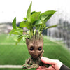 Image of Groot Man Planter Pot