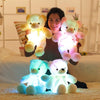 Image of The Amazing LED Teddy - Balma Home